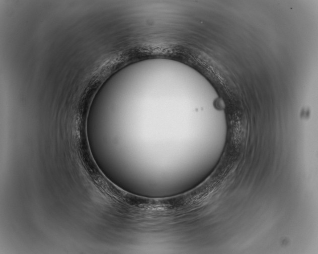 X0000098050643200804111314