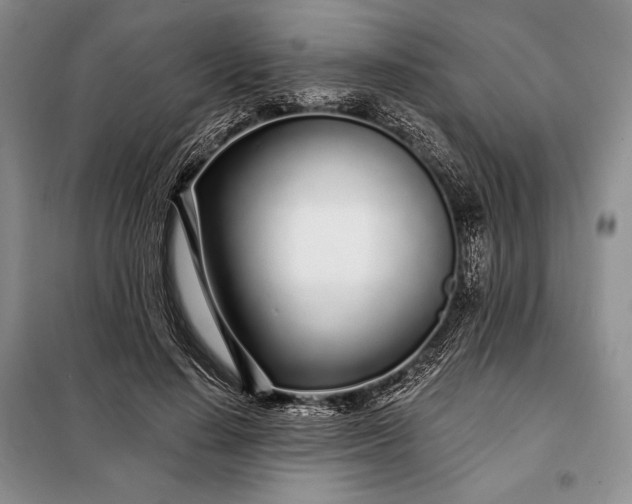 X0000098050644200804111314