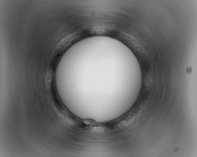 X0000098050645200804111314