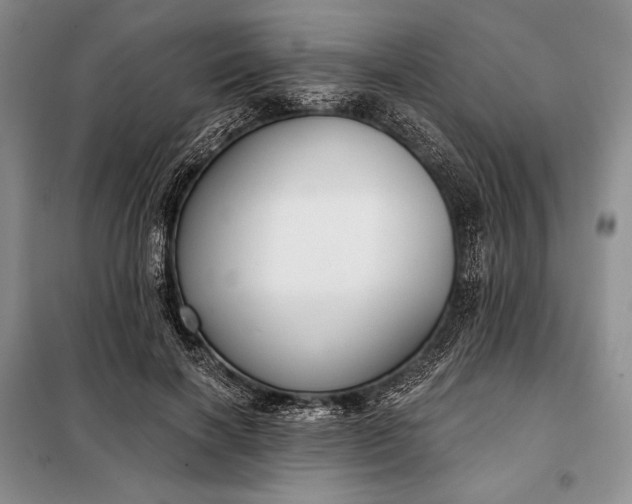 X0000098050646200804111314