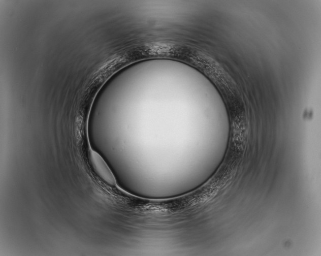 X0000098050648200804111314