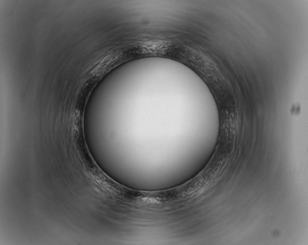 X0000098050649200804111314