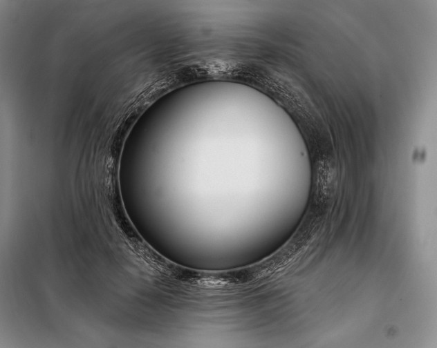 X0000098050650200804111314