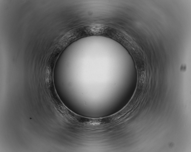 X0000098050651200804111314