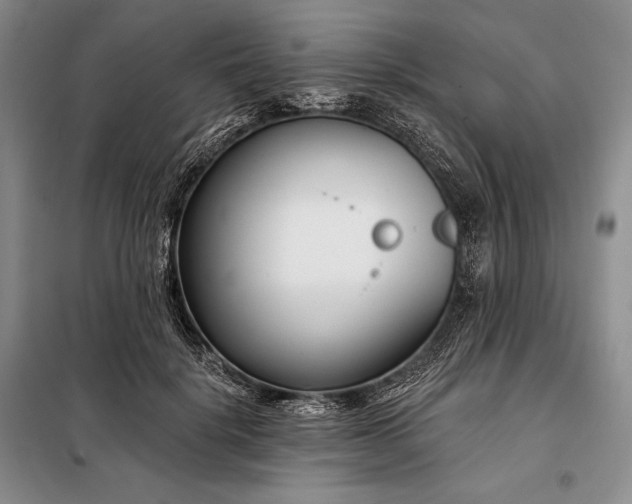 X0000098050652200804111314