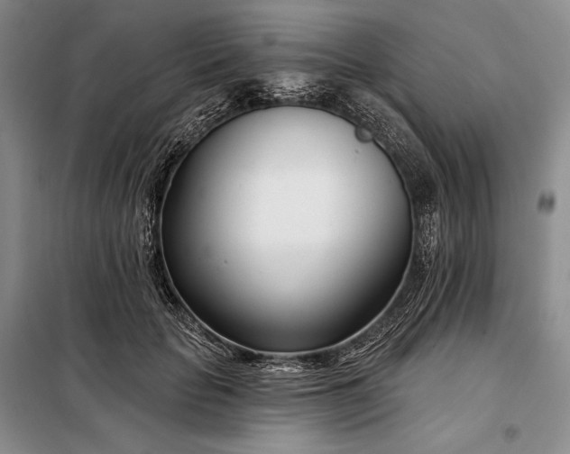 X0000098050653200804111314