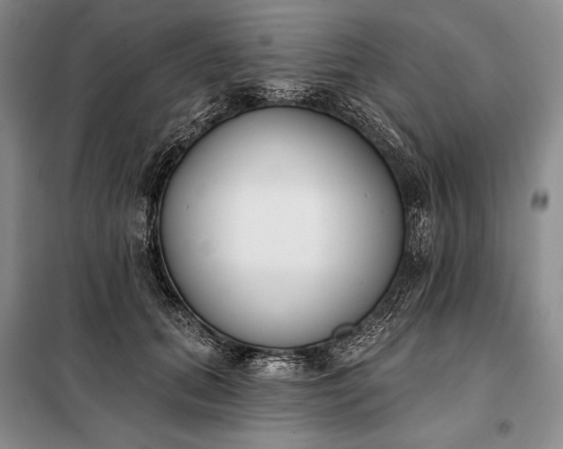 X0000098050655200804111314