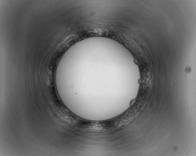 X0000098050656200804111314