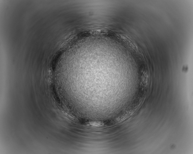 X0000098050659200804111314