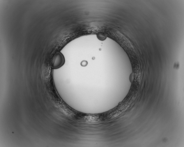 X0000098050660200804111314