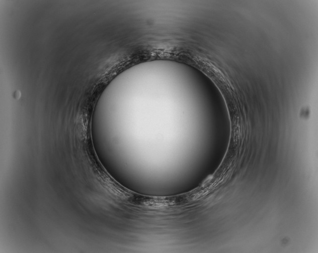 X0000098050661200804111314