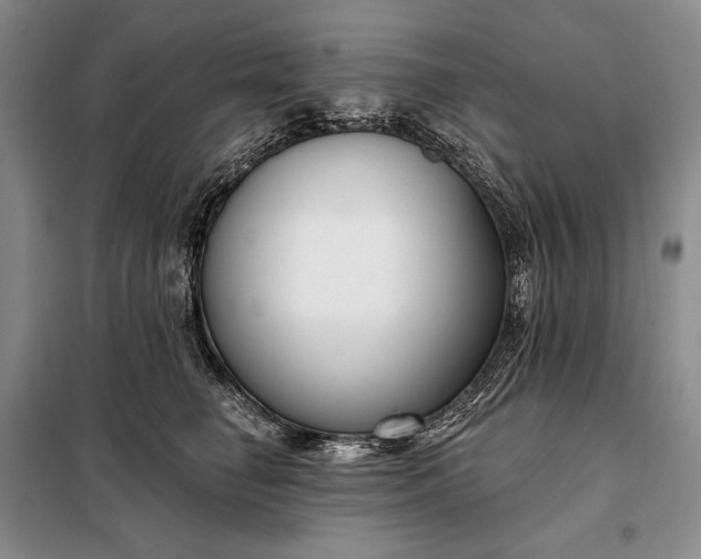 X0000098050662200804111314