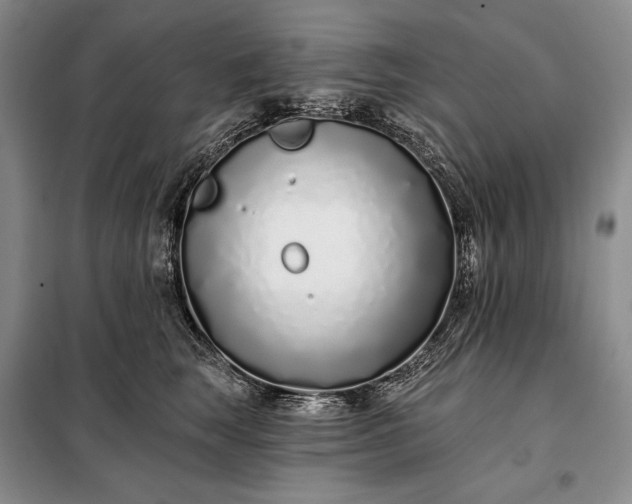 X0000098050663200804111314