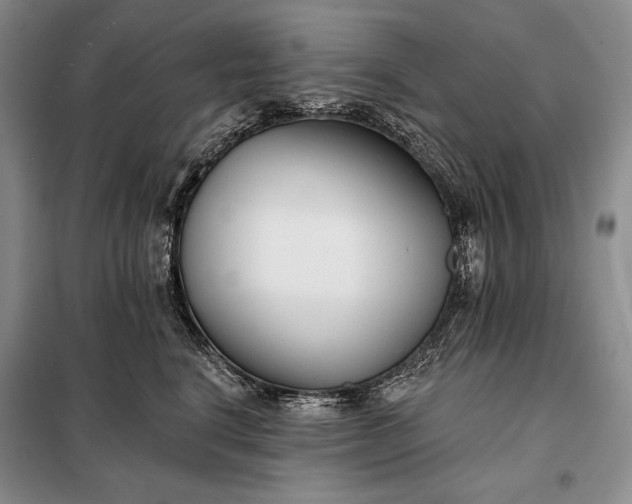 X0000098050664200804111314