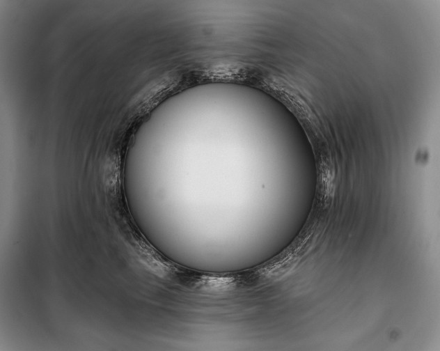 X0000098050665200804111314