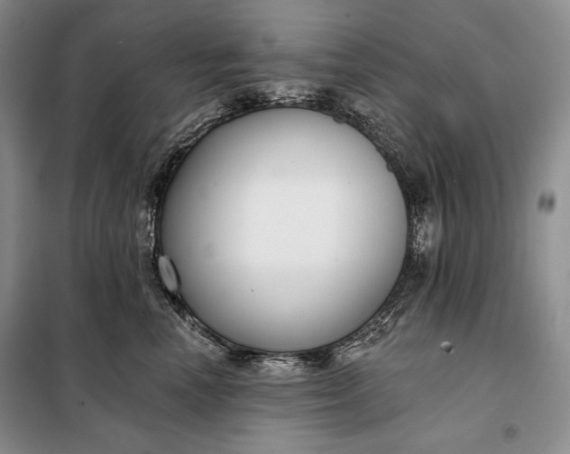 X0000098050666200804111314