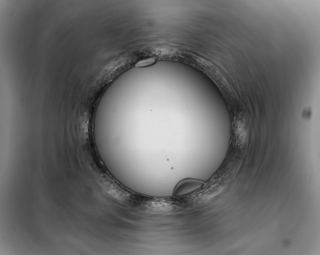 X0000098050668200804111314