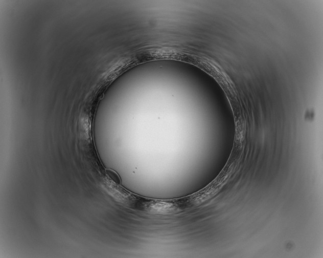 X0000098050669200804111314