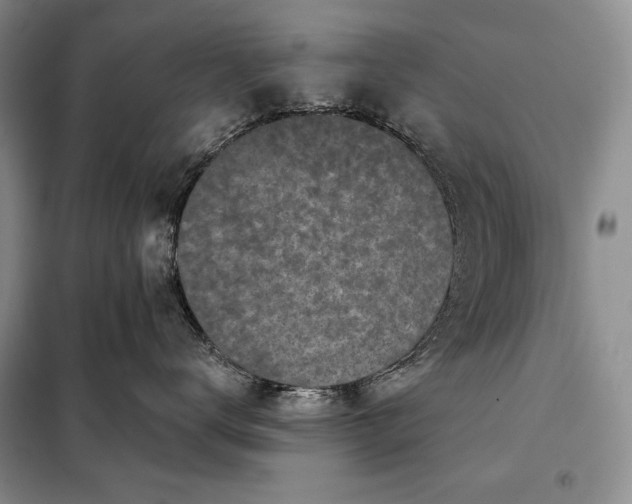 X0000098050672200804111314