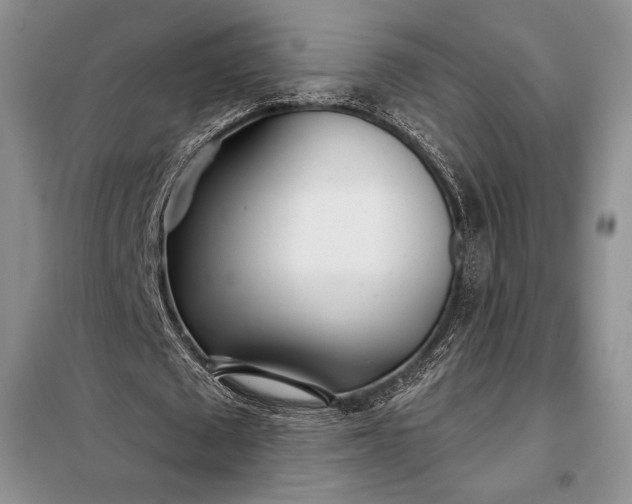 X0000098050673200804111314