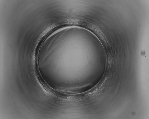 X0000098050674200804111314