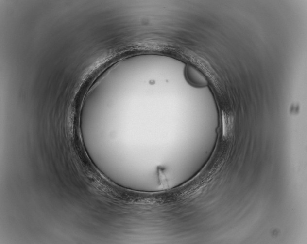 X0000098050675200804111314