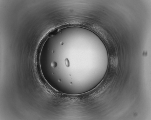 X0000098050676200804111314