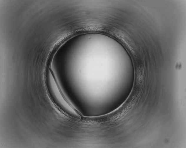 X0000098050677200804111314