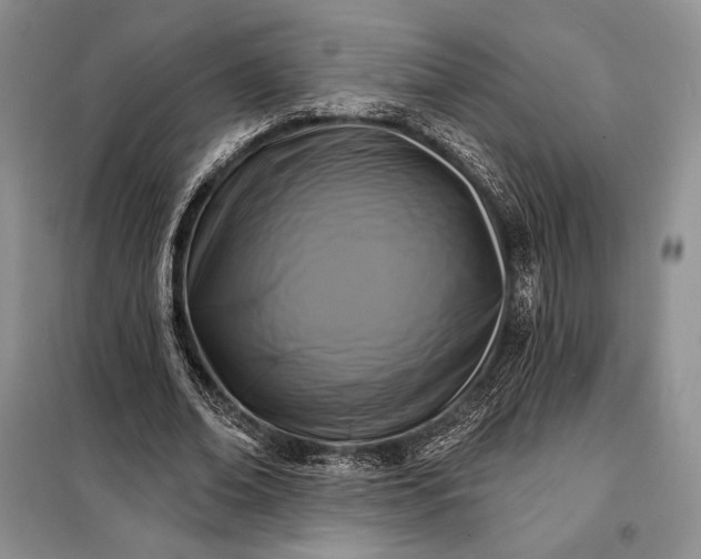 X0000098050678200804111314