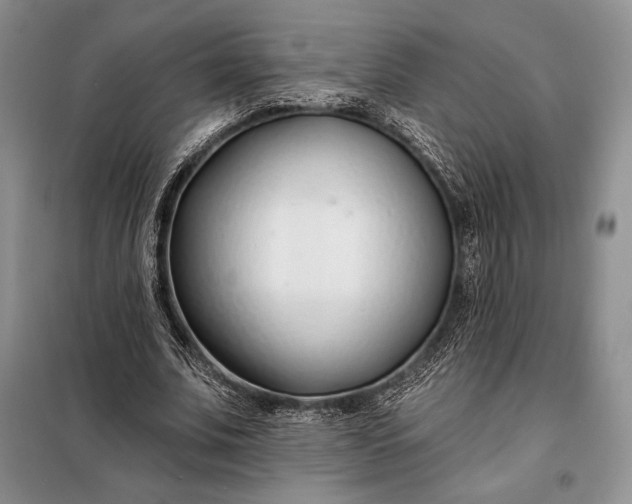 X0000098050679200804111313