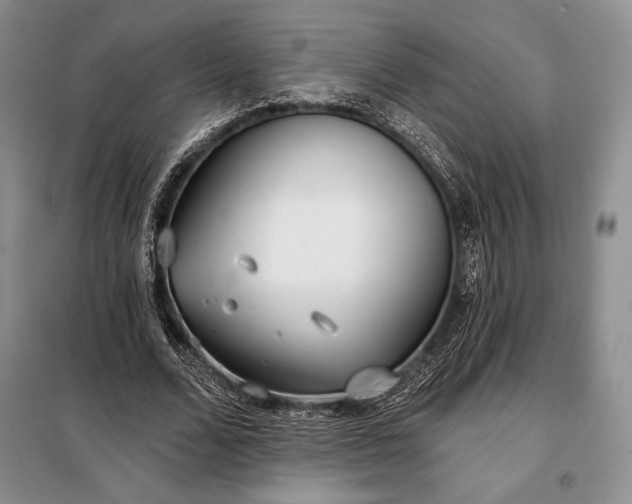 X0000098050680200804111313