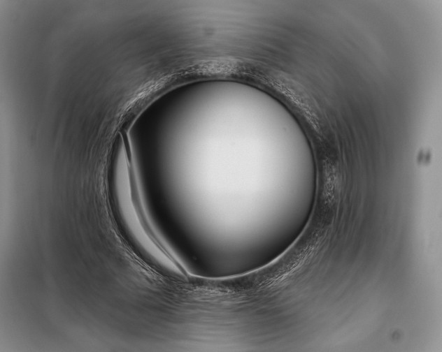 X0000098050681200804111313