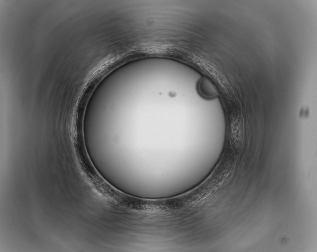 X0000098050682200804111313