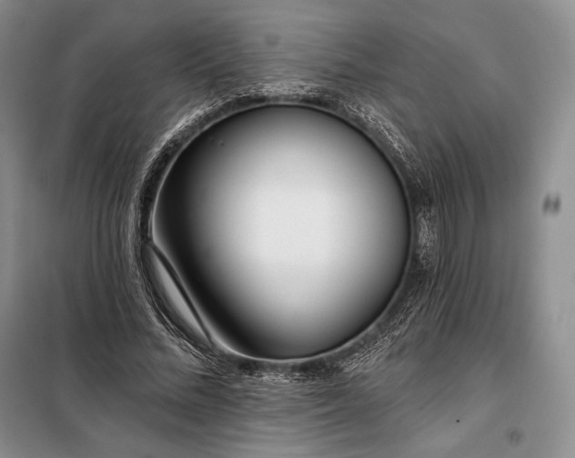 X0000098050684200804111313