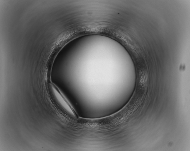 X0000098050685200804111313