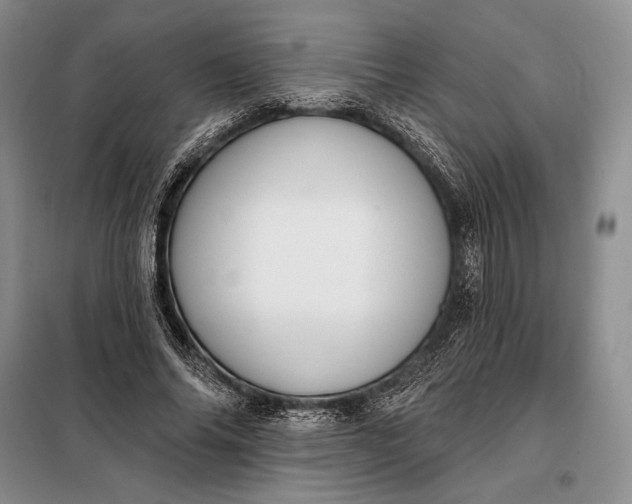 X0000098050686200804111313