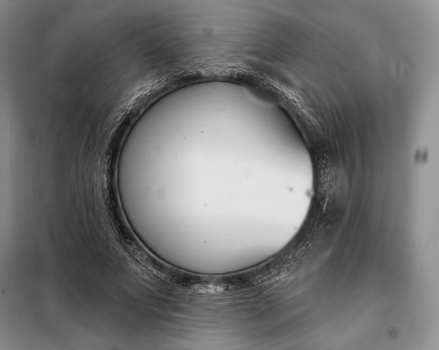 X0000098050687200804111313