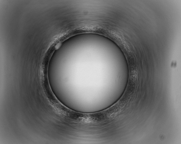 X0000098050688200804111313