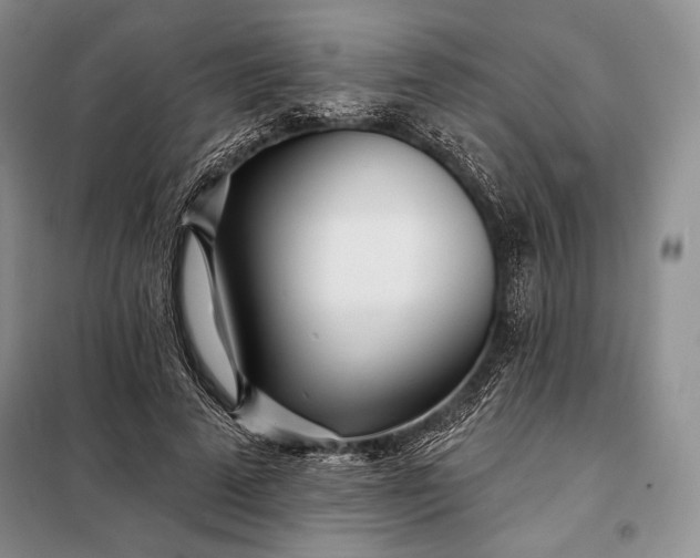 X0000098050689200804111313