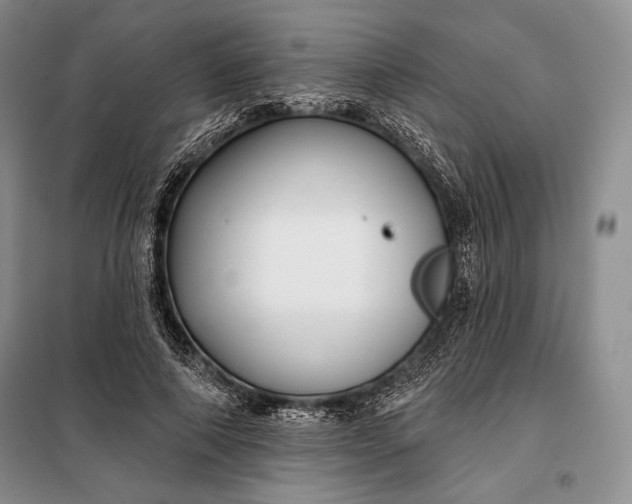 X0000098050690200804111313