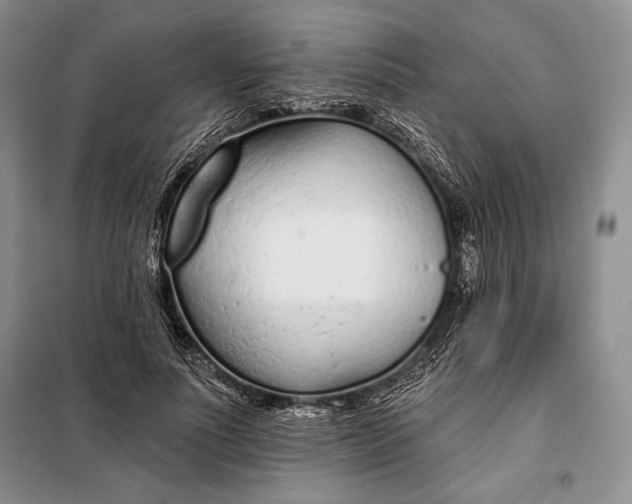 X0000098050691200804111313