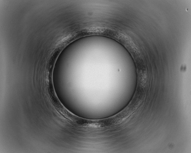 X0000098050692200804111313