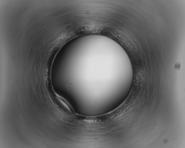 X0000098050693200804111313