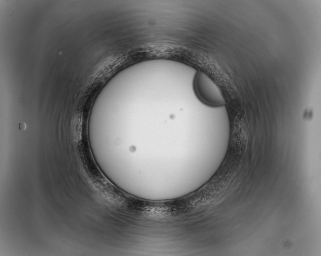 X0000098050694200804111313