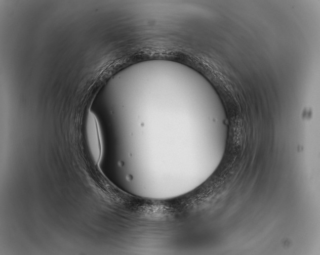 X0000098050695200804111313