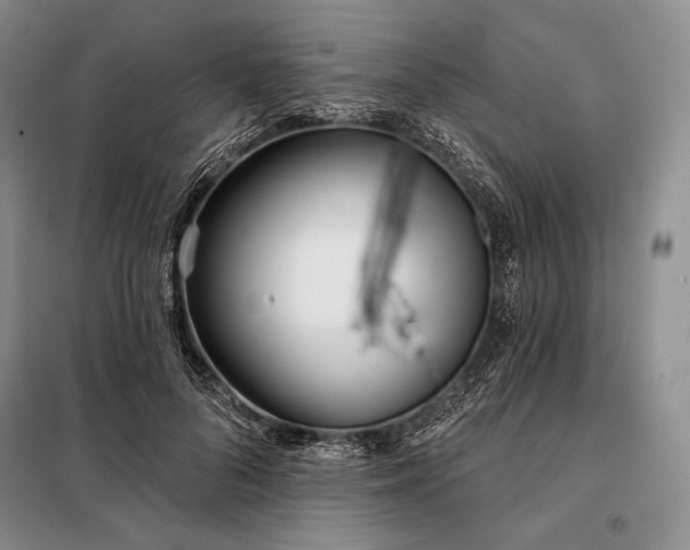 X0000098050696200804111313