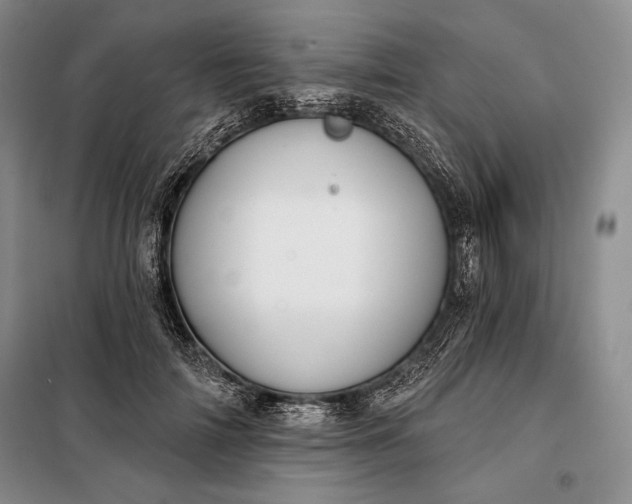 X0000098050698200804111313