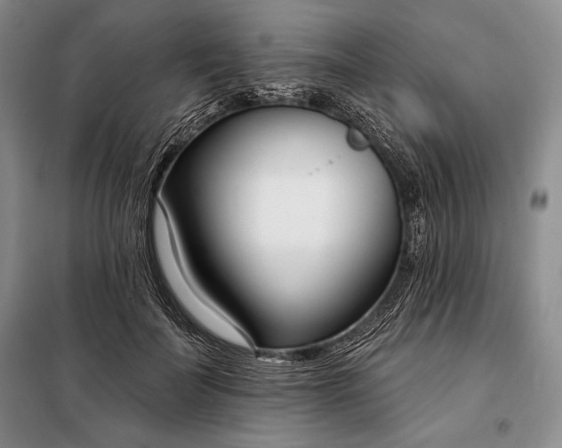 X0000098050699200804111313