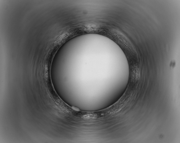 X0000098050700200804111313