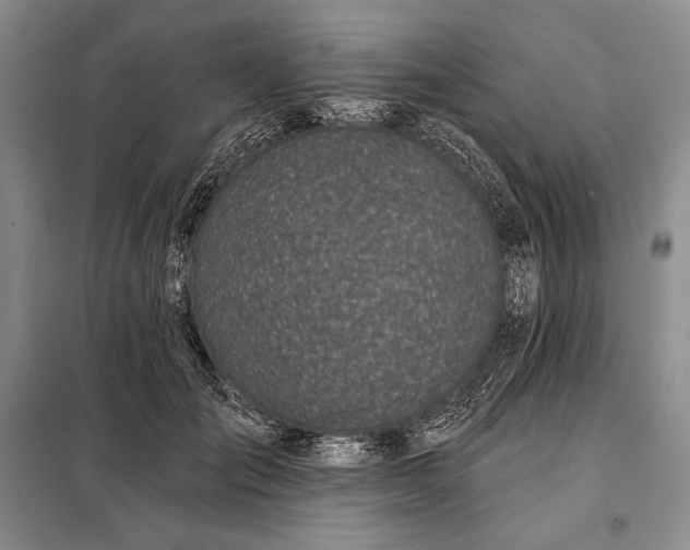 X0000098050701200804111313